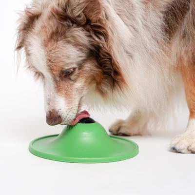 Show full view: Stashios Soothing Saucer Dog Toy, Green slide 4 of 8