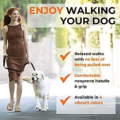 Canny No Pull Padded Dog Training Head Collar, Purple, 4, Neck Size 15-17-in slide 2 of 9