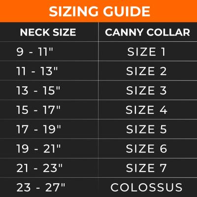 Show full view: Canny No Pull Padded Dog Training Head Collar, Purple, 4, Neck Size 15-17-in slide 7 of 11