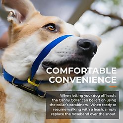 Canny No Pull Padded Dog Training Head Collar, Black, 5, Neck Size 17-19-in slide 2 of 9