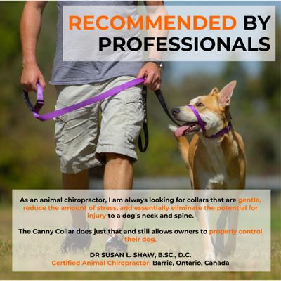 Show full view: Canny No Pull Padded Dog Training Head Collar, Purple, 4, Neck Size 15-17-in slide 5 of 11