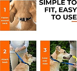 Canny No-Pull Nylon Padded Dog Training Head Collar, Purple, 6, 19 to 21-in neck, 1-in wide slide 2 of 9