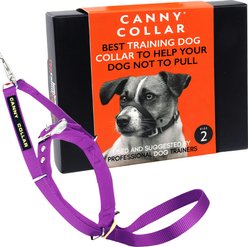 Canny No Pull Padded Dog Training Head Collar, Purple, 2, Neck Size 11-13-in