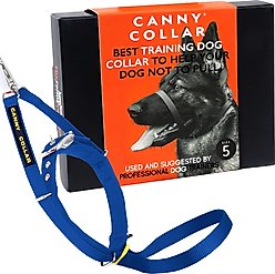 Canny No Pull Padded Dog Training Head Collar, Blue, 5, Neck Size 17-19-in