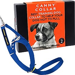 Canny No Pull Padded Dog Training Head Collar, Blue, Size 2, Neck Size 11-13-in