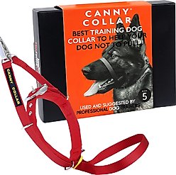 Canny No Pull Padded Dog Training Head Collar, Red, 5, Neck Size 17-19-in