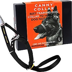 Canny No Pull Padded Dog Training Head Collar, Black, 5, Neck Size 17-19-in