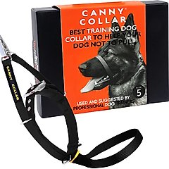 Canny No Pull Padded Dog Training Head Collar, Black, 5, Neck Size 17-19-in