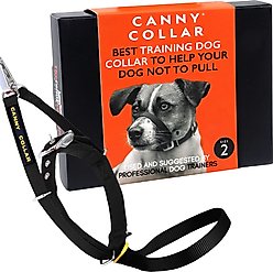 Canny No Pull Padded Dog Training Head Collar, Black, 2, Neck Size 11-13-in