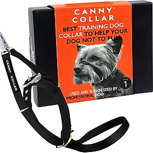 CANNY No Pull Padded Dog Training Head Collar, Black, 1, Neck Size
