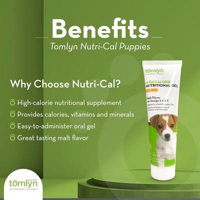 Show full view: Tomlyn Nutri-Cal Malt Flavored Gel High Calorie Supplement for Puppies, 4.25-oz tube slide 3 of 11
