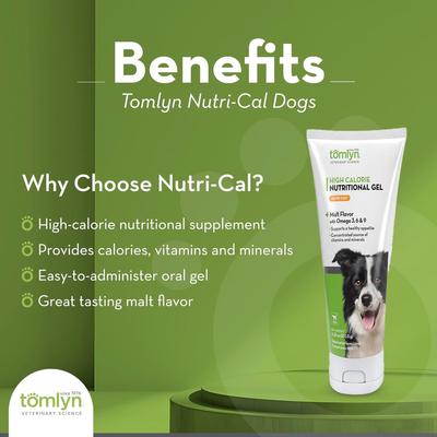 Show full view: Tomlyn Nutri-Cal Malt Flavored Gel High Calorie Supplement for Dogs, 4.25-oz tube slide 3 of 11