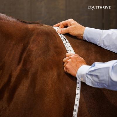 Show full view: Equithrive MetaCare Horse Pellets, 3.3-lb box slide 5 of 6
