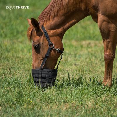 Show full view: Equithrive MetaCare Horse Pellets, 3.3-lb box slide 6 of 6