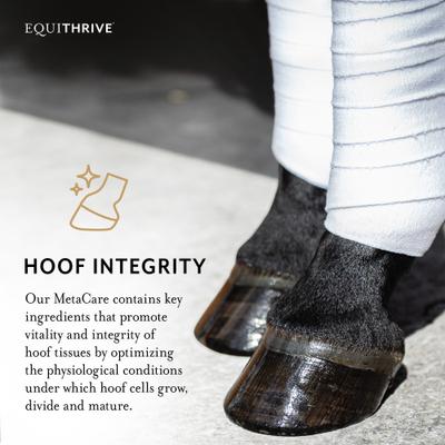 Show full view: Equithrive MetaCare Horse Pellets, 3.3-lb box slide 3 of 6