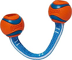 Chuckit! Ultra Duo Tug Tough Dog Toy, Small