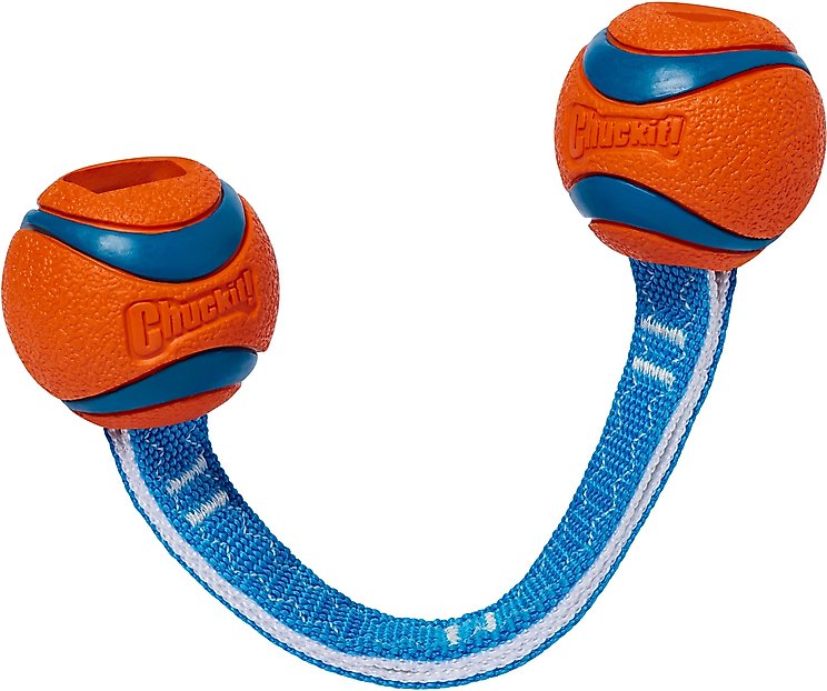 DOG TOYS FOR SMALL DOGS (Free Shipping) | Chewy