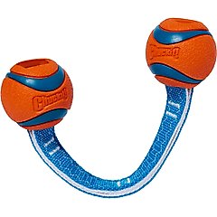 Chuckit! Ultra Duo Tug Tough Dog Toy, Small