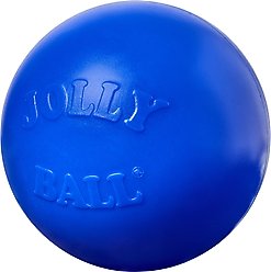 Jolly Pets 10" Push-n-Play Ball Dog Toy, Blue