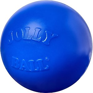 Jolly Pets 10" Push-n-Play Ball Dog Toy, Blue