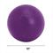 Show in main carousel: Jolly Pets 10" Push-n-Play Ball Dog Toy, Purple slide 3 of 6
