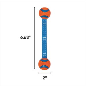 Chuckit! Ultra Duo Tug Tough Dog Toy, Small