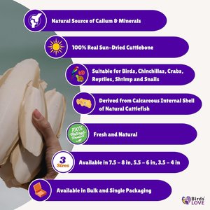 Birds LOVE Natural Cuttlebone Calcium Block Supplement for Birds, Tortoise & Snails, 7.5 to 8-in, 12 count
