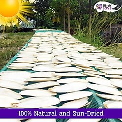 Birds LOVE Natural Cuttlebone Calcium Block Supplement for Birds, Tortoise & Snails, 3.5 to 4-in, 4 count slide 2 of 6