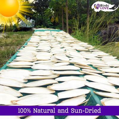 Show full view: Birds LOVE Natural Cuttlebone Calcium Block Supplement for Birds, Tortoise & Snails, 7.5 to 8-in, 12 count slide 4 of 8