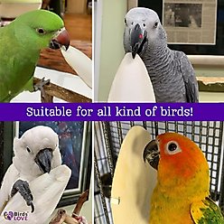 Birds LOVE Natural Cuttlebone Calcium Block Supplement for Birds, Tortoise & Snails, 7.5 to 8-in, 12 count slide 2 of 6