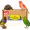 Show in main carousel: Birds LOVE Natural Cuttlebone Calcium Block Supplement for Birds, Tortoise & Snails, 3.5 to 4-in, 4 count slide 1 of 8