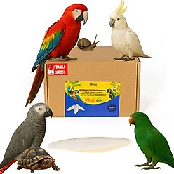 Birds LOVE Natural Cuttlebone Calcium Block Supplement for Birds, Tortoise & Snails, 7.5 to 8-in, 12 count