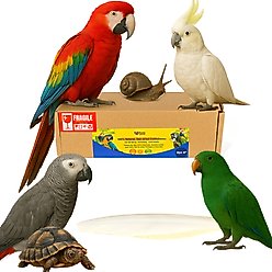 Birds LOVE Natural Cuttlebone Calcium Block Supplement for Birds, Tortoise & Snails, 7.5 to 8-in, 2 count