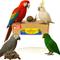 Show in main carousel: Birds LOVE Natural Cuttlebone Calcium Block Supplement for Birds, Tortoise & Snails, 7.5 to 8-in, 2 count slide 1 of 8