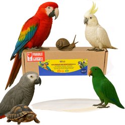 Birds LOVE Natural Cuttlebone Calcium Block Supplement for Birds, Tortoise & Snails, 7.5 to 8-in, 1 count