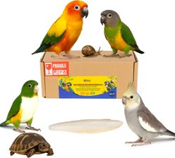 Birds LOVE Natural Cuttlebone Calcium Block Supplement for Birds, Tortoise & Snails, 5.5 to 6-in, 3 count