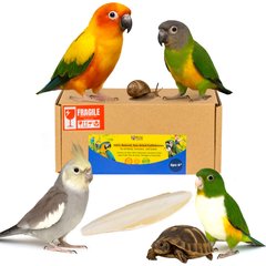 Birds LOVE Natural Cuttlebone Calcium Block Supplement for Birds, Tortoise & Snails, 5.5 to 6-in, 2 count