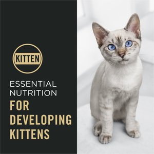 Purina Pro Plan Chicken & Rice Formula with Probiotics High Protein Cat Food, 16-lb bag