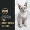Show in main carousel: Purina Pro Plan Complete Essentials Chicken & Rice Formula Kitten Dry Cat Food, 3.5-lb bag slide 6 of 11