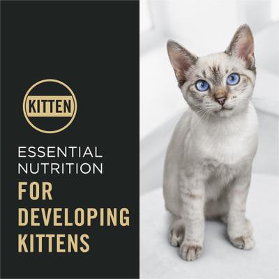 Show full view: Purina Pro Plan Complete Essentials Chicken & Rice Formula Kitten Dry Cat Food, 3.5-lb bag slide 6 of 11
