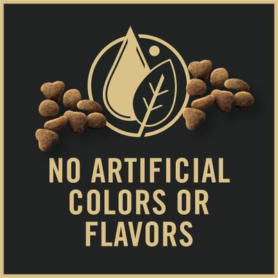 Show full view: Purina Pro Plan Complete Essentials Chicken & Rice Formula Kitten Dry Cat Food, 3.5-lb bag slide 4 of 11