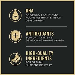 Purina Pro Plan Complete Essentials Chicken & Rice Formula Kitten Dry Cat Food, 16-lb bag slide 2 of 9