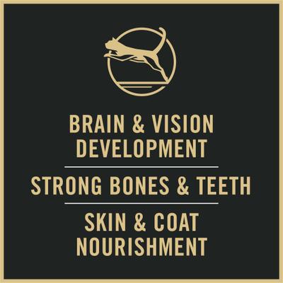 Show full view: Purina Pro Plan Complete Essentials Shredded Blend Chicken & Rice Formula Natural Kitten Dry Cat Food, 6-lb bag slide 10 of 11