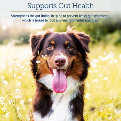 Show full view: Rx Vitamins Colostrum Supplement for Cats & Dogs, 100 gram bottle slide 5 of 8