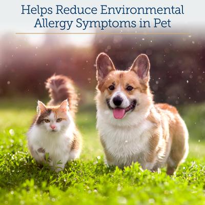 Show full view: Rx Vitamins Colostrum Supplement for Cats & Dogs, 100 gram bottle slide 3 of 8