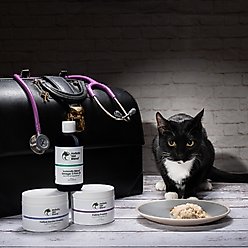 Holistic Vet Blend Feline Senior Premix Powder Nutritional Supplement for Senior Cats, 3.175-oz jar slide 2 of 6