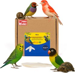 Birds LOVE Natural Cuttlebone Calcium Block Supplement for Birds, Tortoise & Snails, 3.5 to 4-in, 12 count