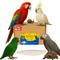 Show in main carousel: Birds LOVE Natural Cuttlebone Calcium Block Supplement for Birds, Tortoise & Snails, 7.5 to 8-in, 6 count slide 1 of 8