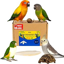 Birds LOVE Natural Cuttlebone Calcium Block Supplement for Birds, Tortoise & Snails, 5.5 to 6-in, 6 count