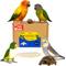 Show in main carousel: Birds LOVE Natural Cuttlebone Calcium Block Supplement for Birds, Tortoise & Snails, 5.5 to 6-in, 6 count slide 1 of 8